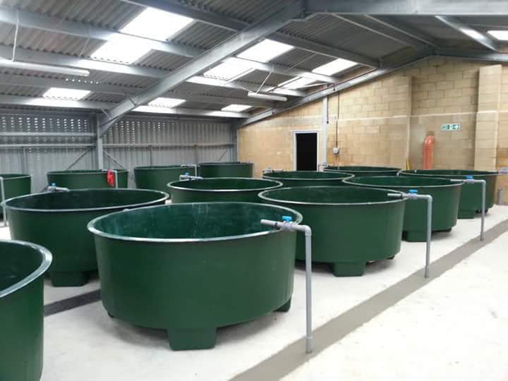 Circular Aquaculture Tanks (Indoor)